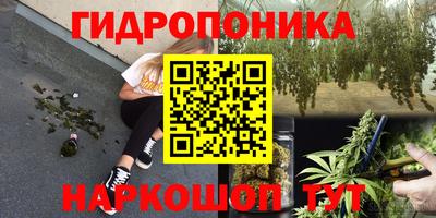 ECSTASY Севастополь