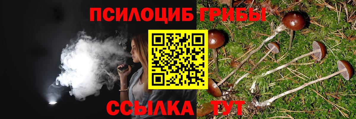 Псилоцибиновые грибы мицелий  Вход с VPN  Скопин 